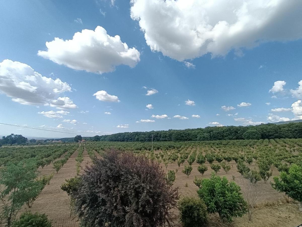 Il Sartore Vetralla Exteriér fotografie